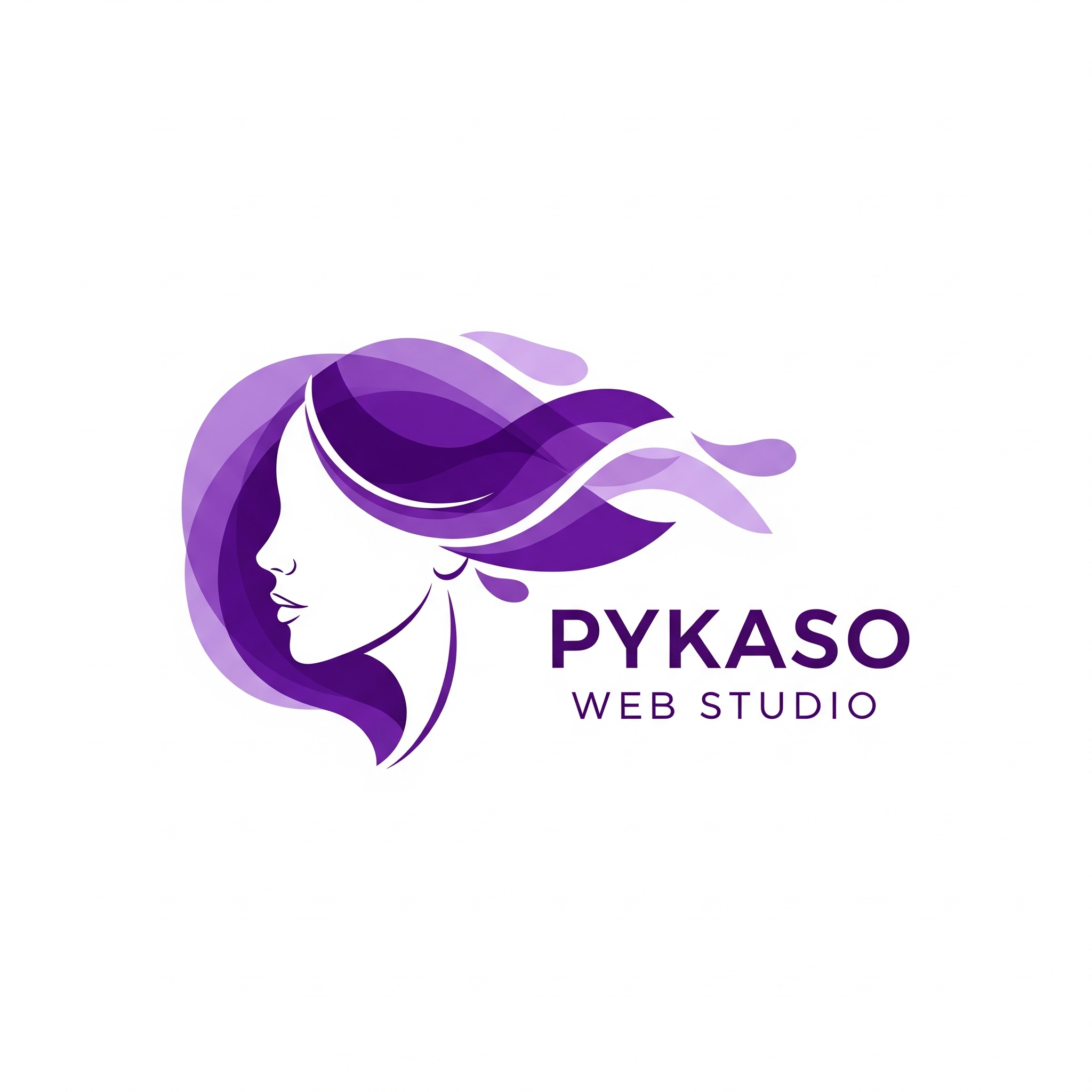 Pykaso Web Studio